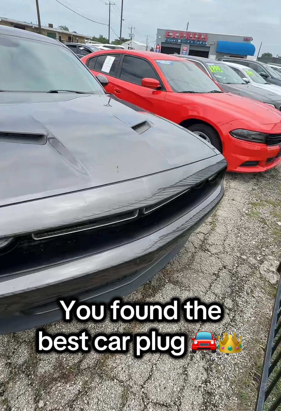 @Car Dealership 🏎️💨