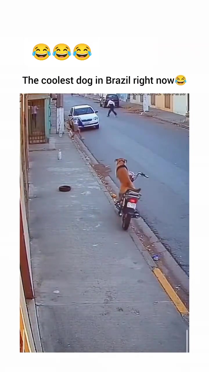 @Laughviral