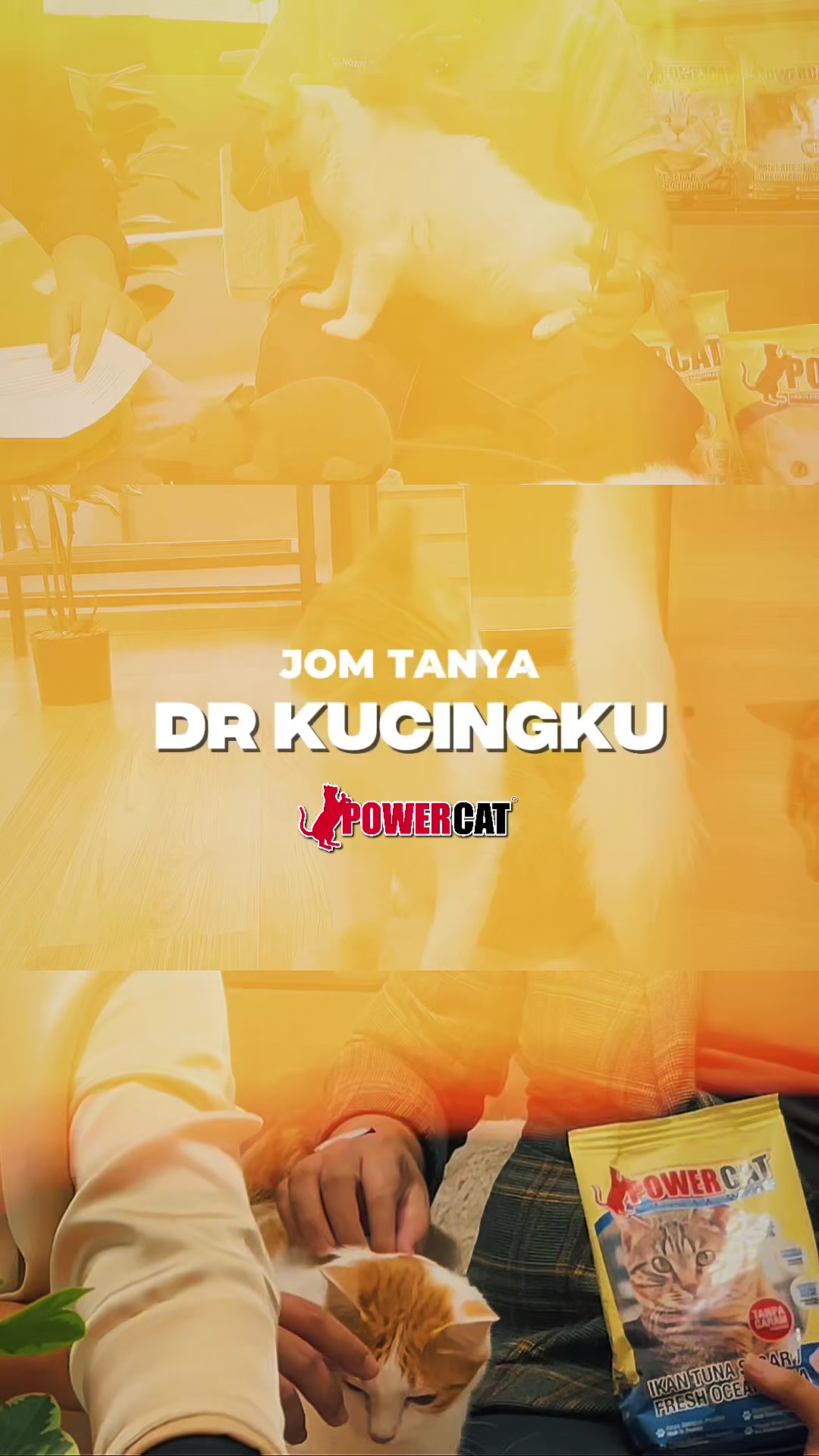 @Powercat Official