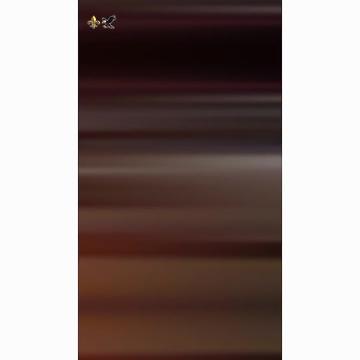 @⚜️海德尔苏莱赫里🪽