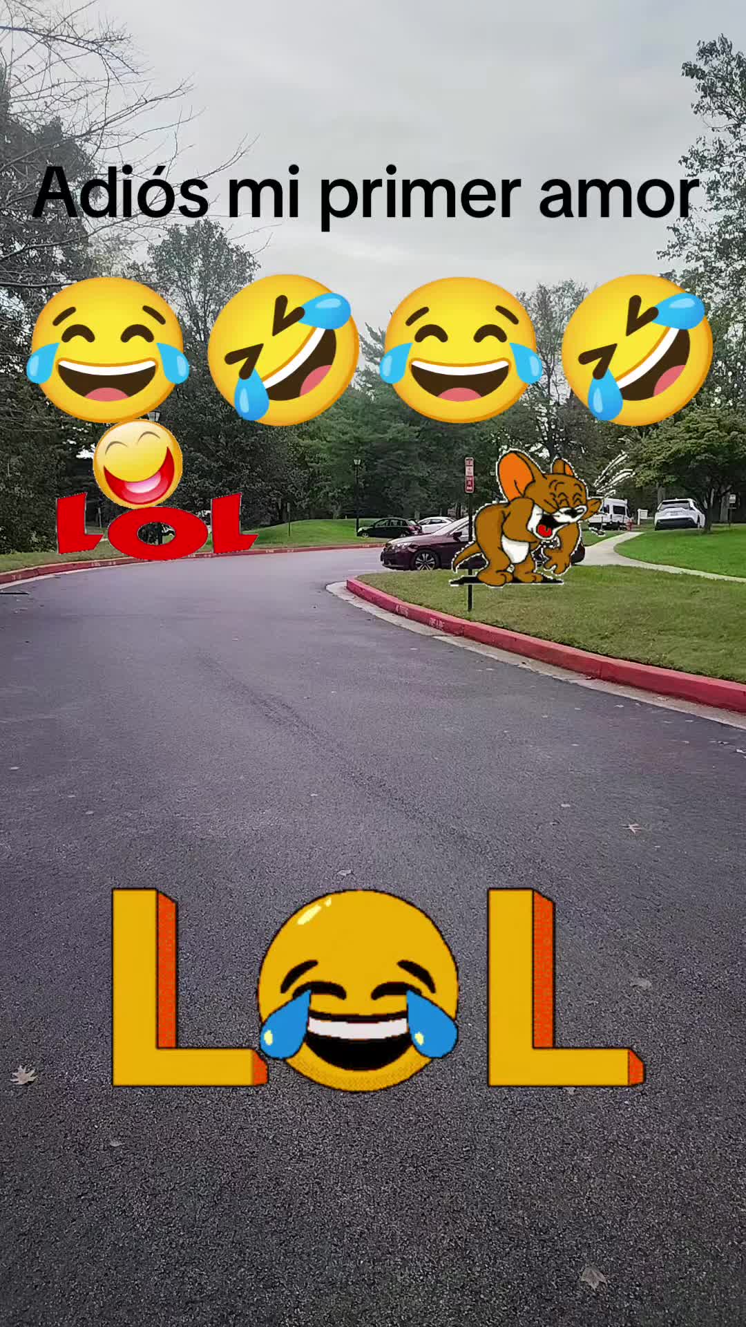 @😾🌻ELGATORIVAS79🐴🐕🐶