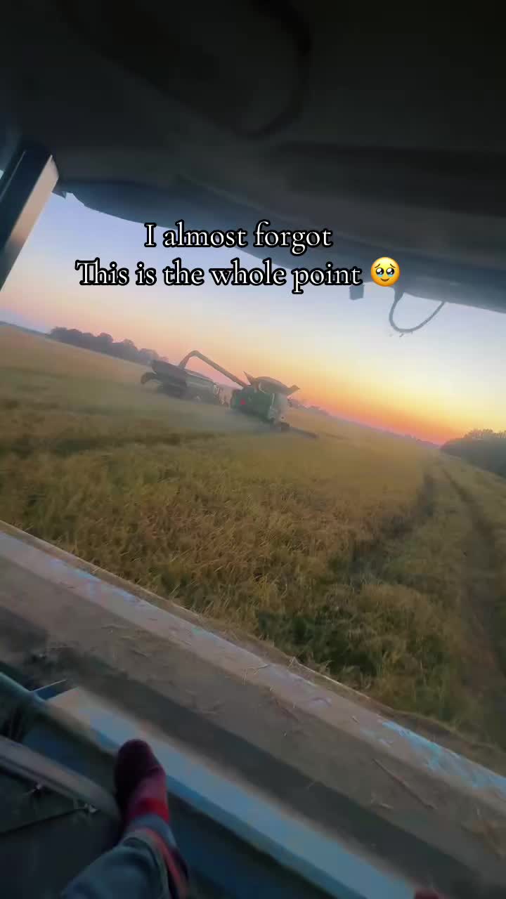 @Farm_boy1996