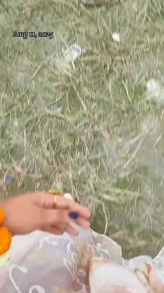 @🕊️