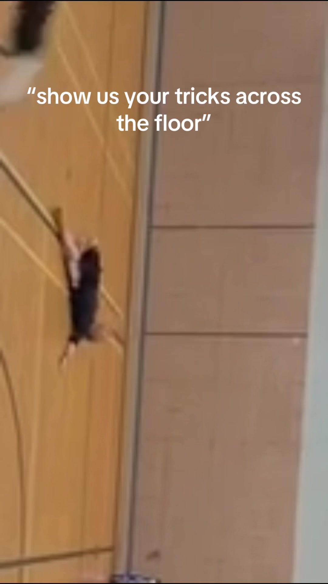 @Queen’s Comp Dance Team
