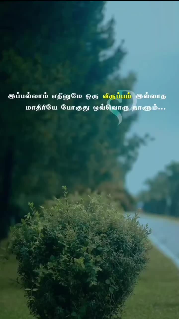 @🌻💛мαмα ρσииυ fσяєνєя🌻💛