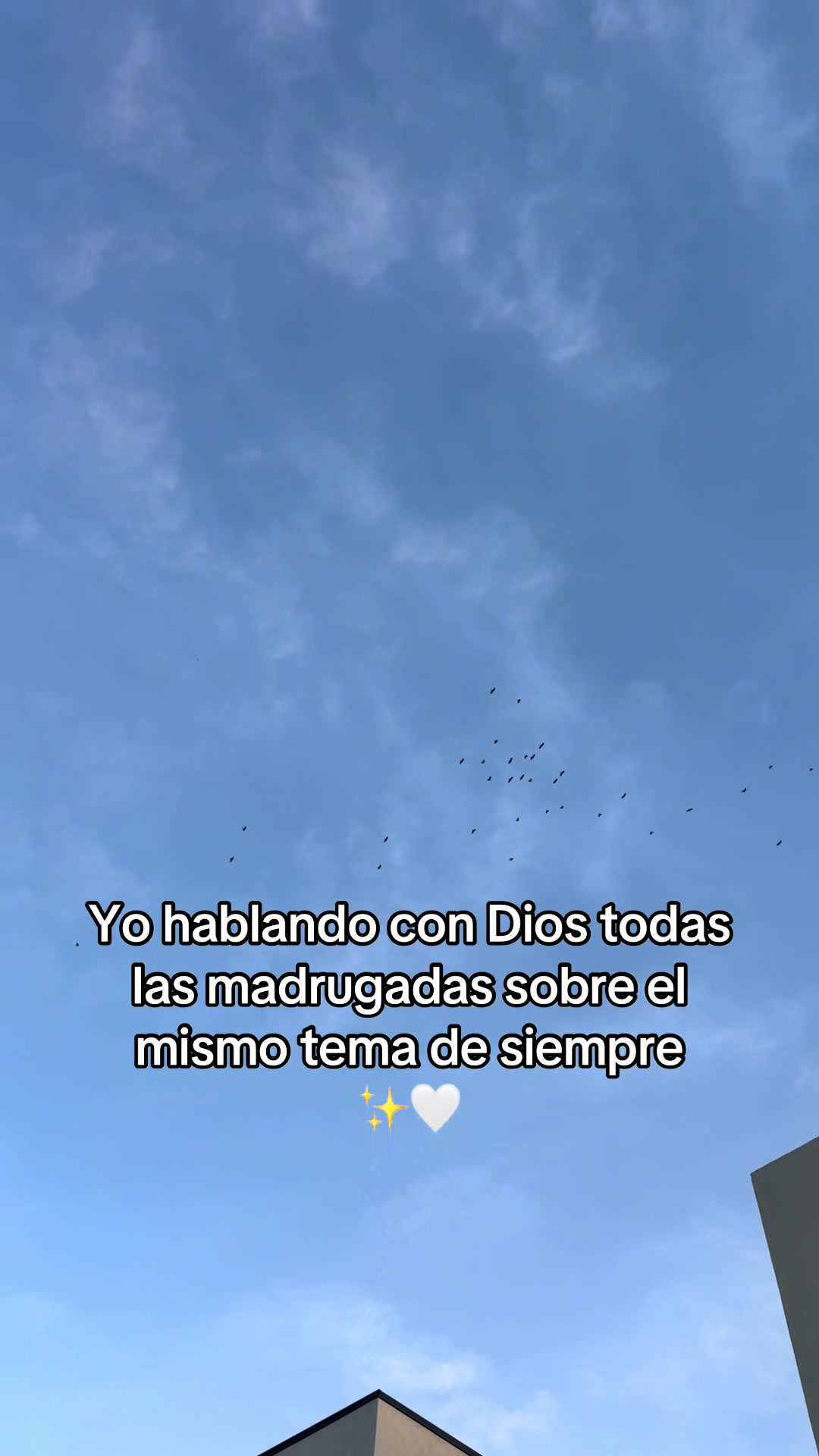 @Lizeth✨