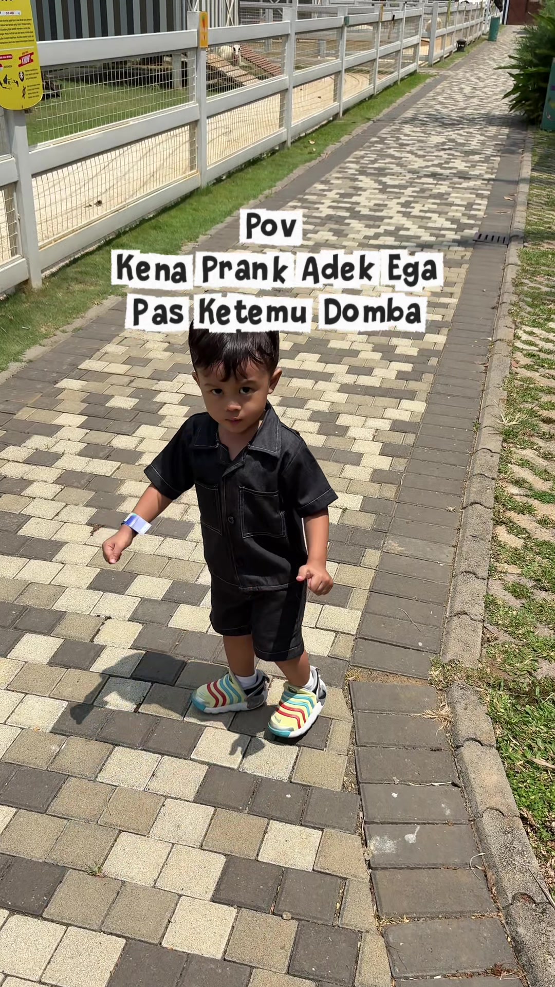 @Seiga1923