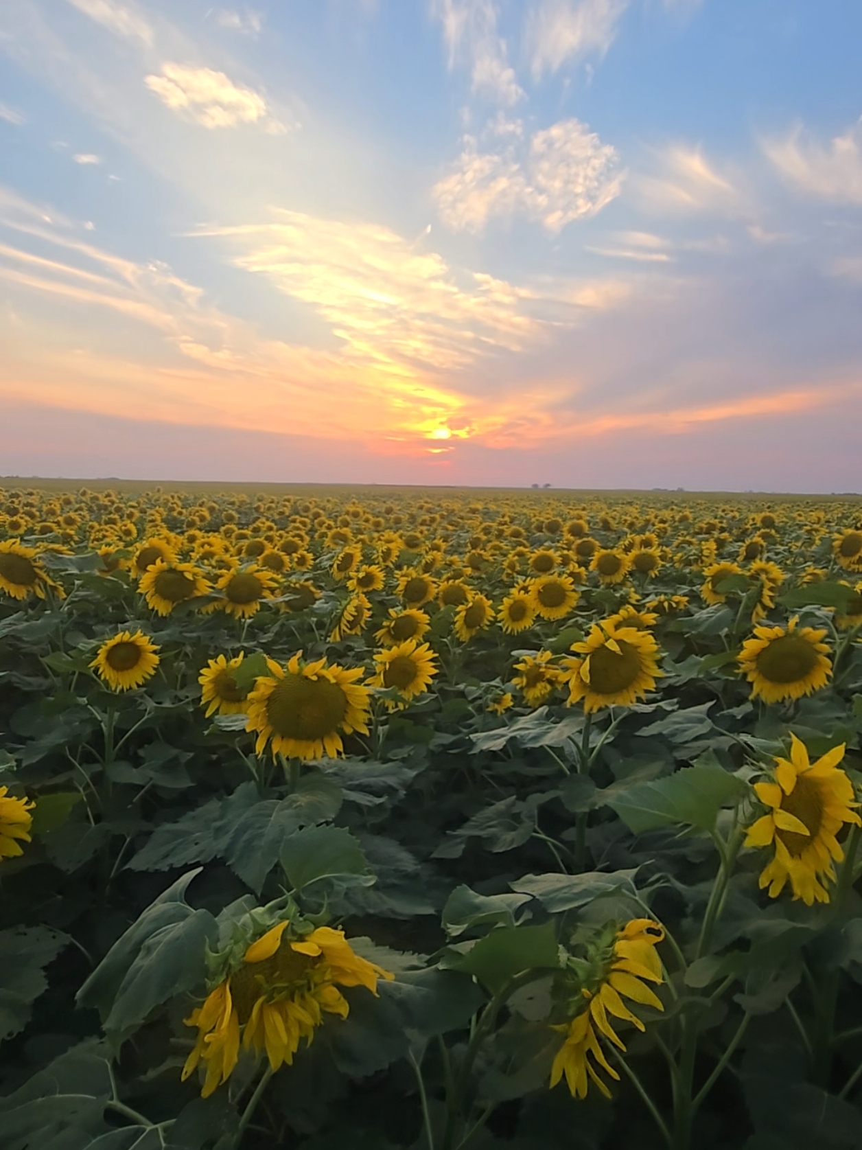 @Aaron Groen