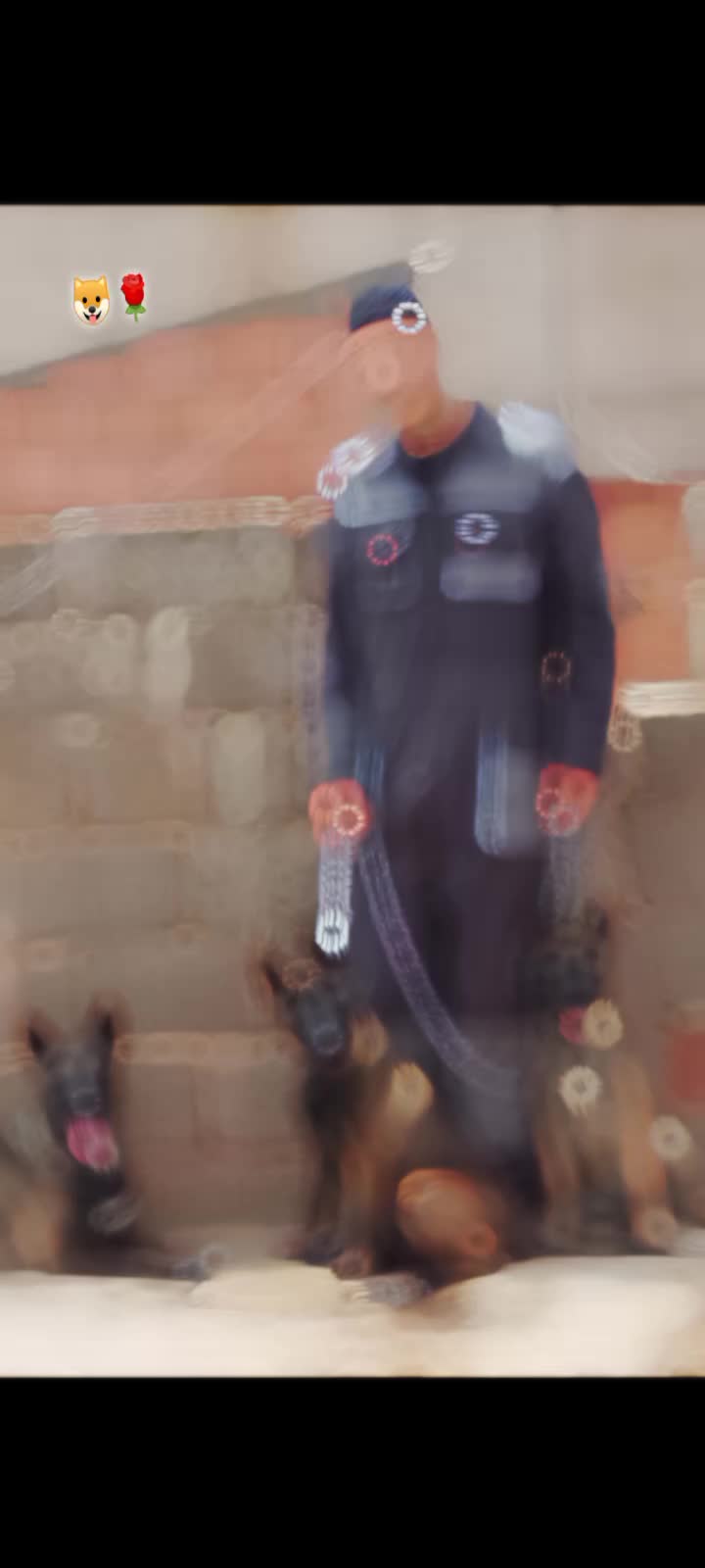 @🔱 𝓐𝓷𝓮𝓼 𝓬𝓱𝓲𝓽𝓪𝓷𝓪💰🐺