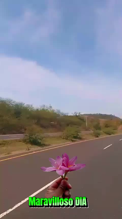 @Santy Sánchez HN 🇭🇳🇺🇲🇳🇮