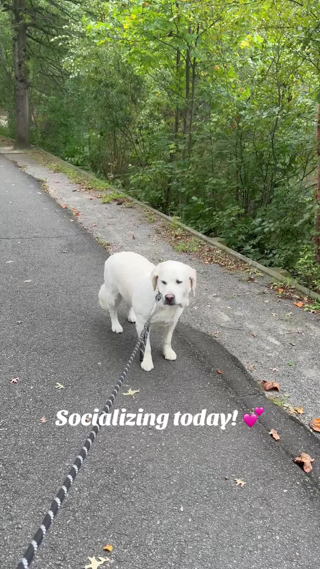 @lifewithduke2025