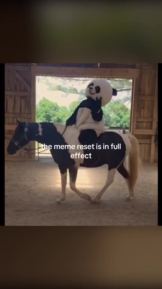 @Panderz_