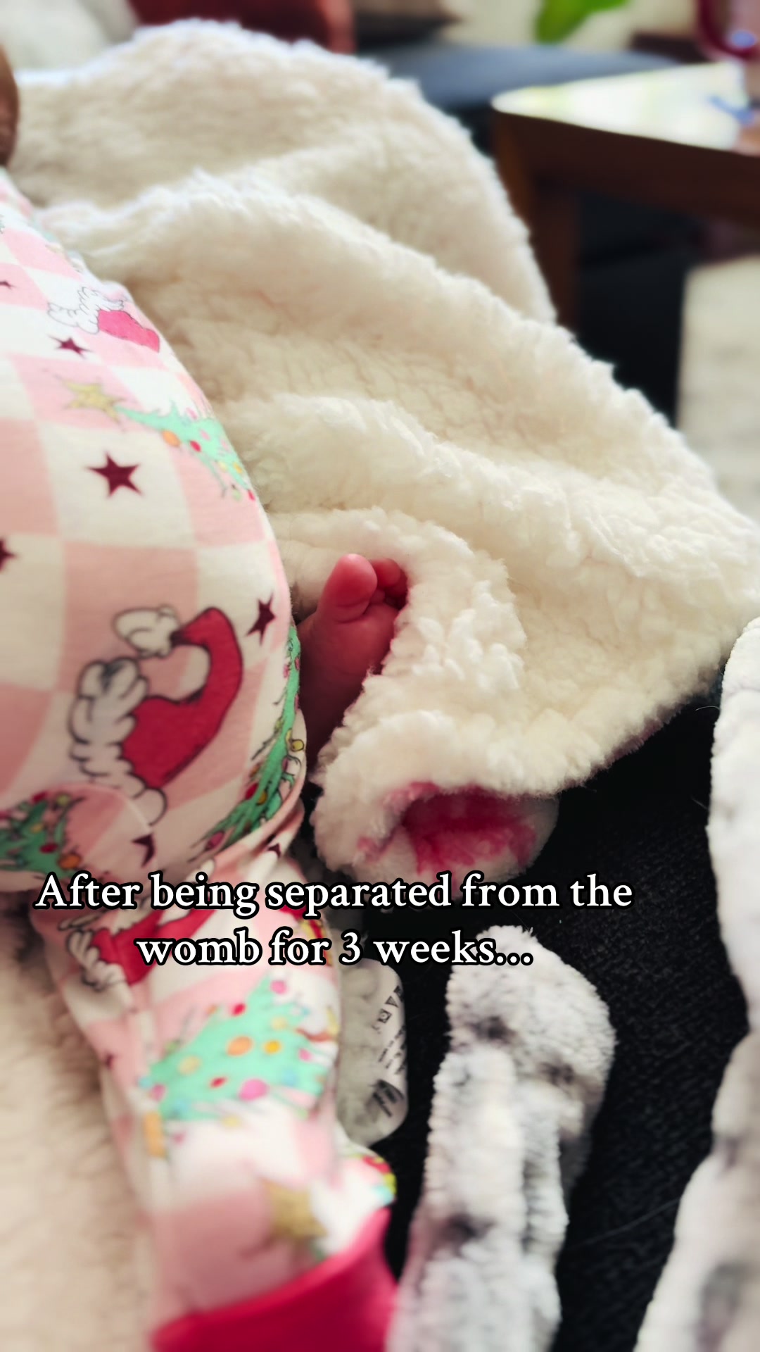 @Herr Triplets | Vanna Lee