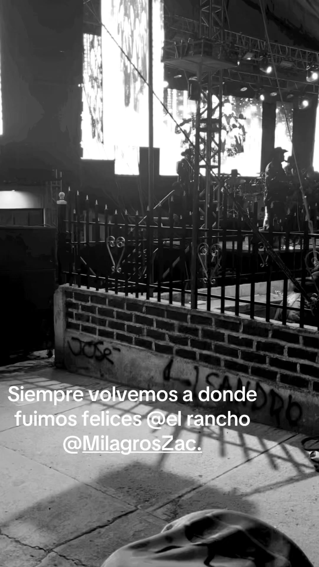 @patymaldonado671