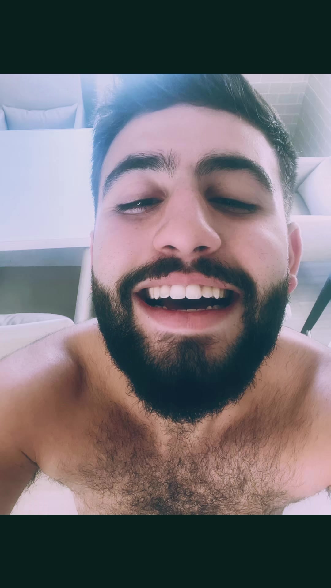 @abejareinaOficial👑