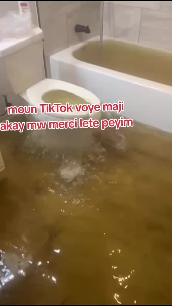 @🥷Avadranouavadra