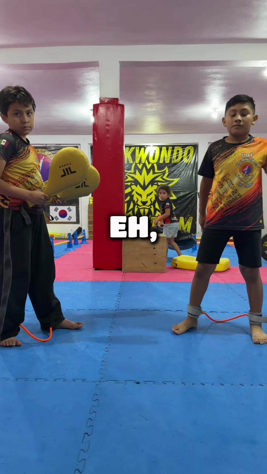 @taekwondolionsteam