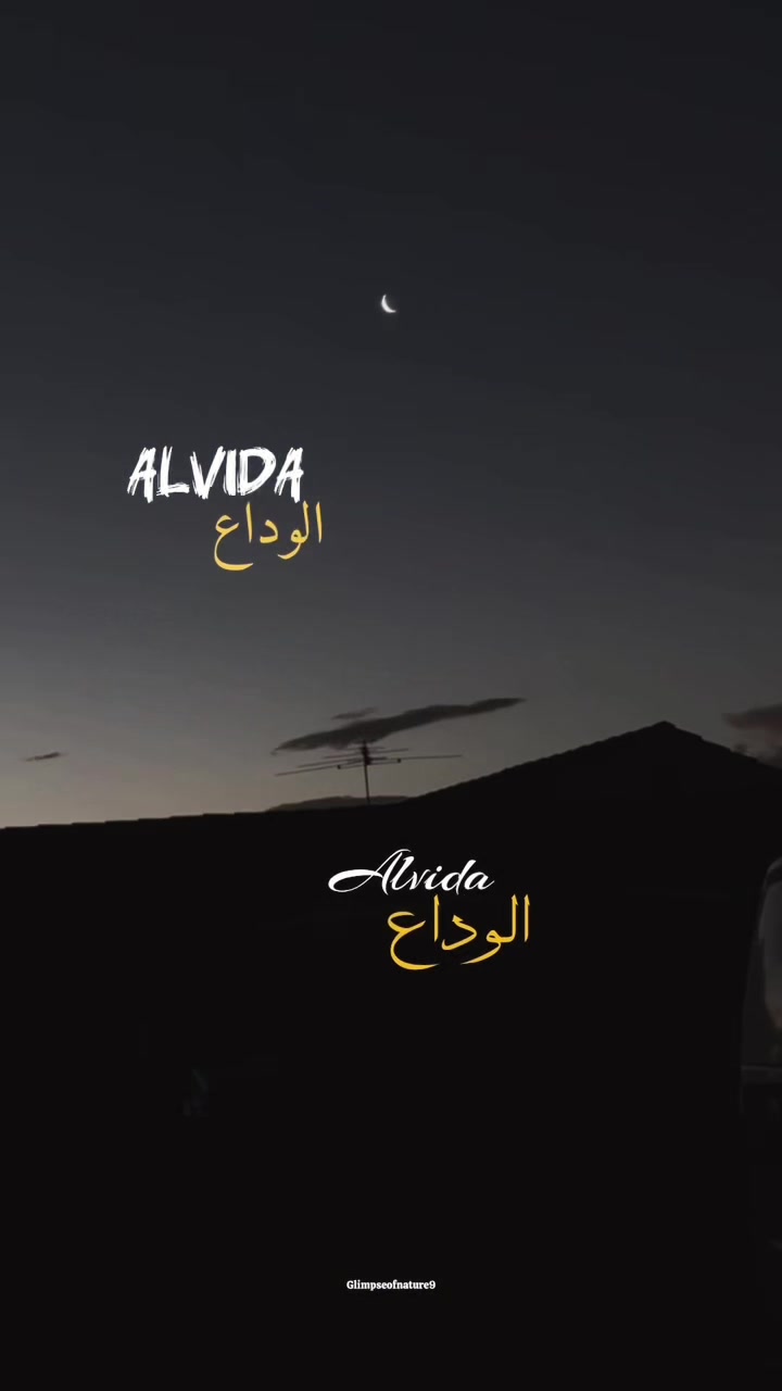 @Amna Mir❥