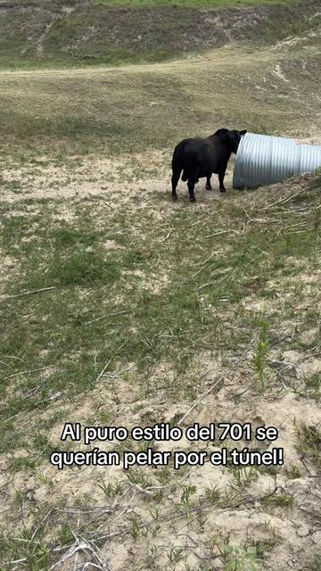 @Javier| Nebraska Ranch