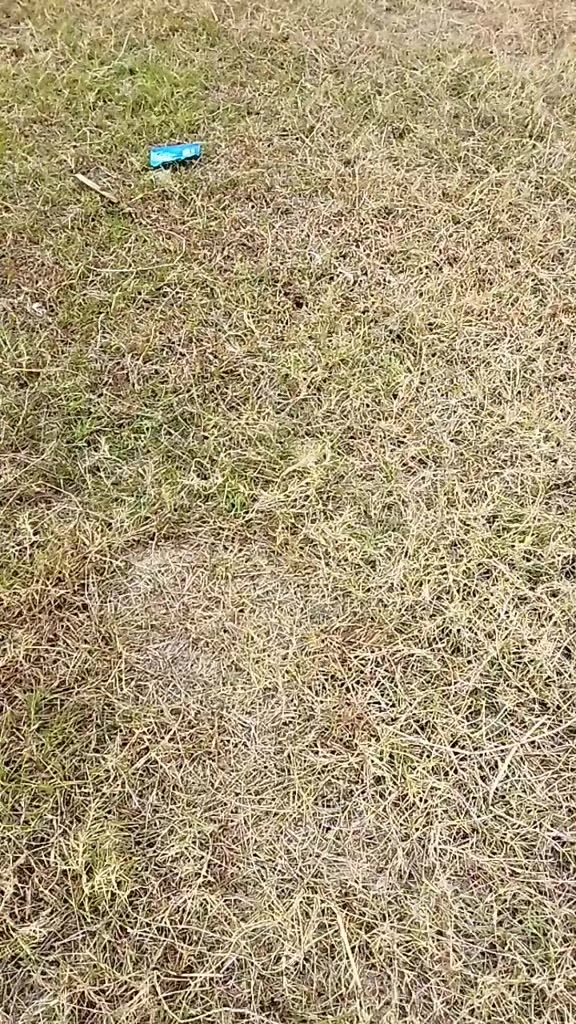 @𝐑𝐁𝐒𝐒_𝐏𝐊𝐋𝐍𝐆𝐀𝐍🍁