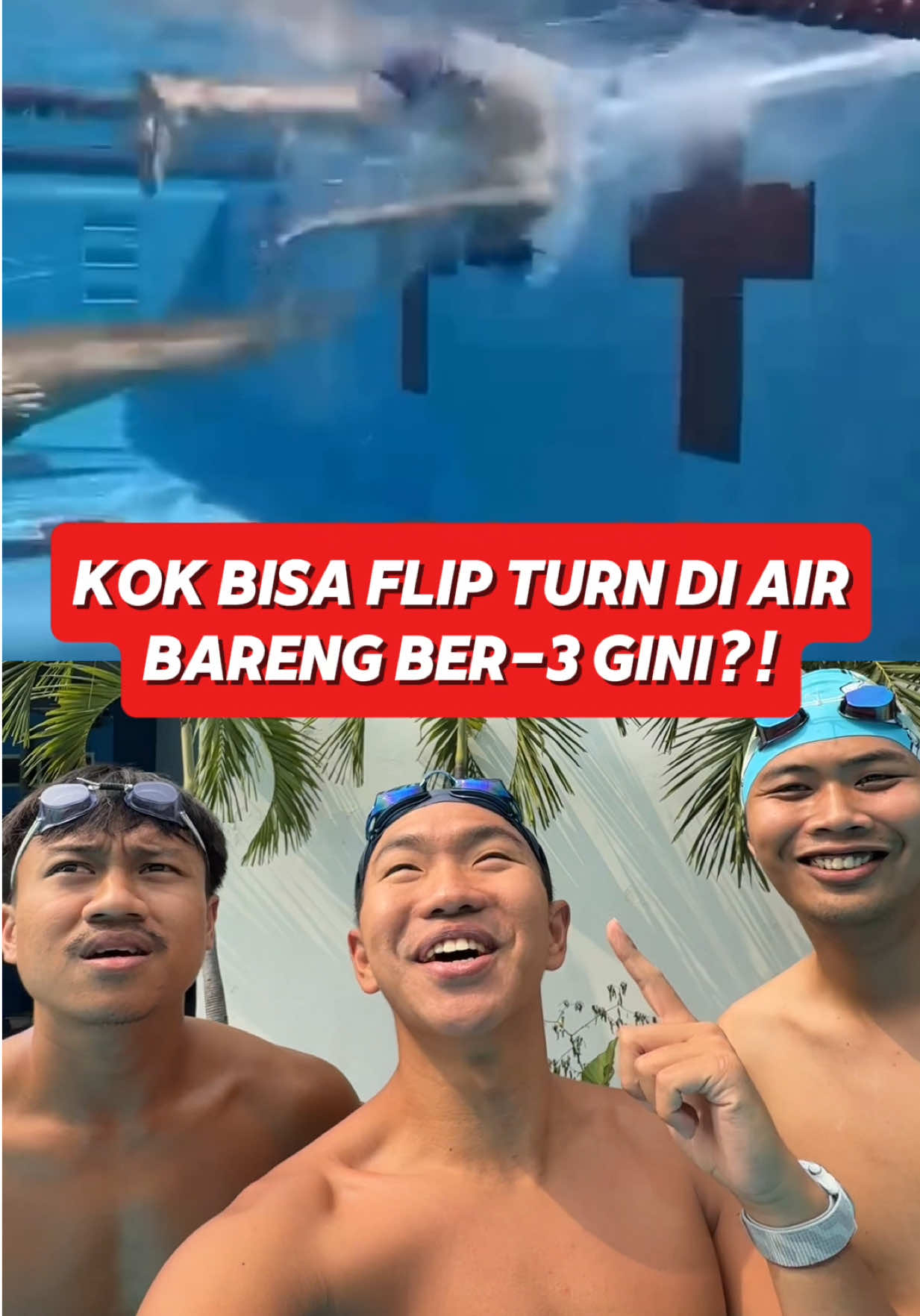 @Timboi