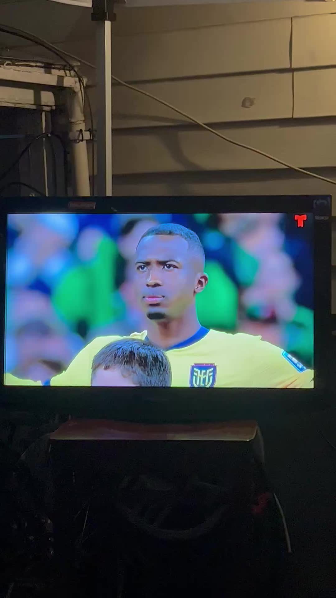 @elviramizhquiri63
