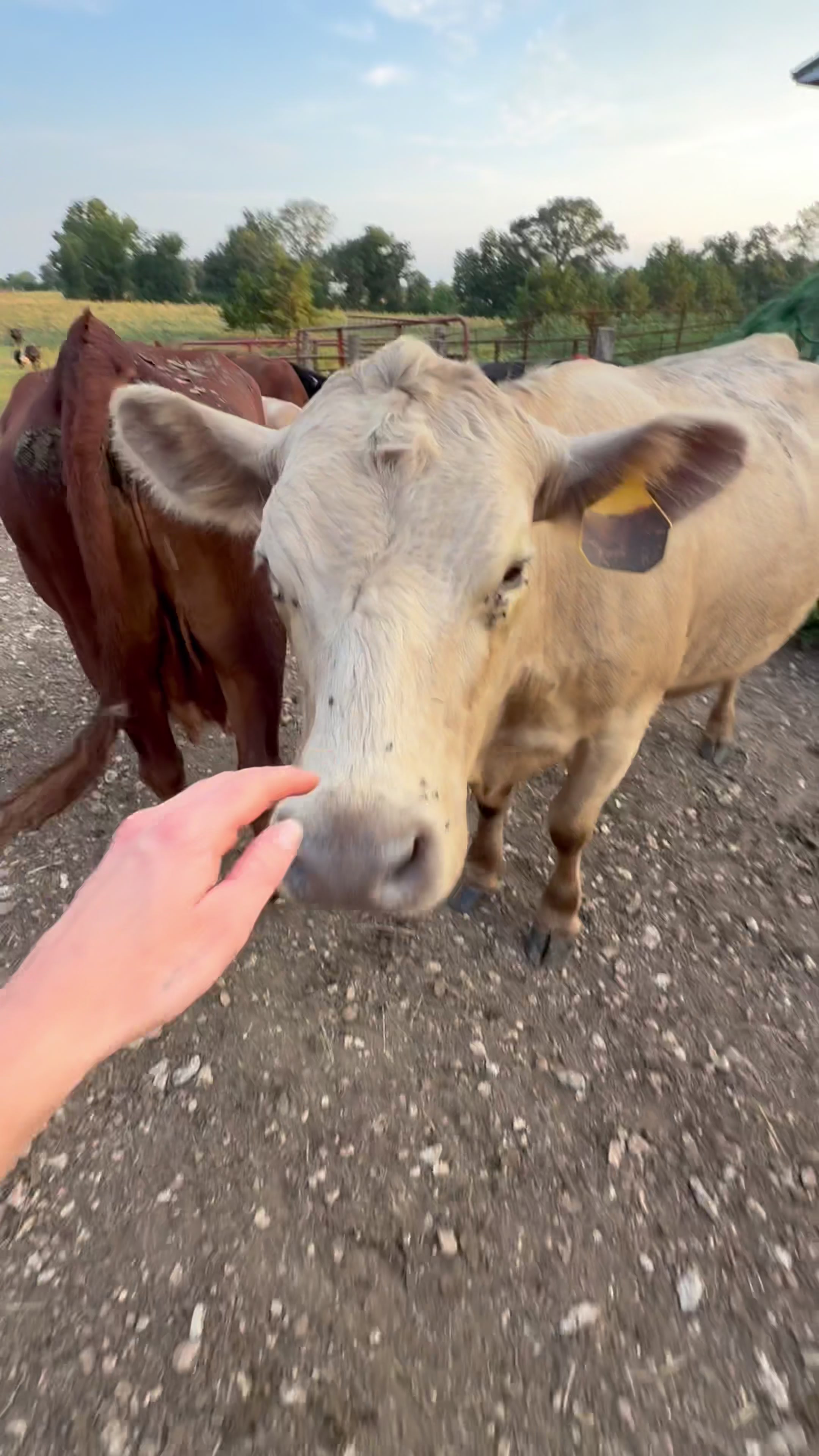@kl2farms