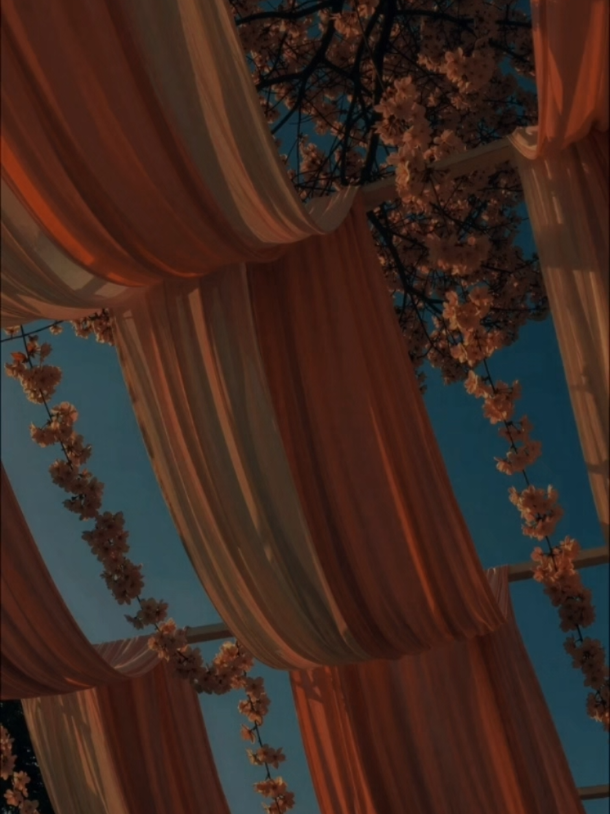 @𝐂𝐡𝐚𝐨𝐬 𝐐𝐮𝐞𝐞𝐧𝜗𝜚
