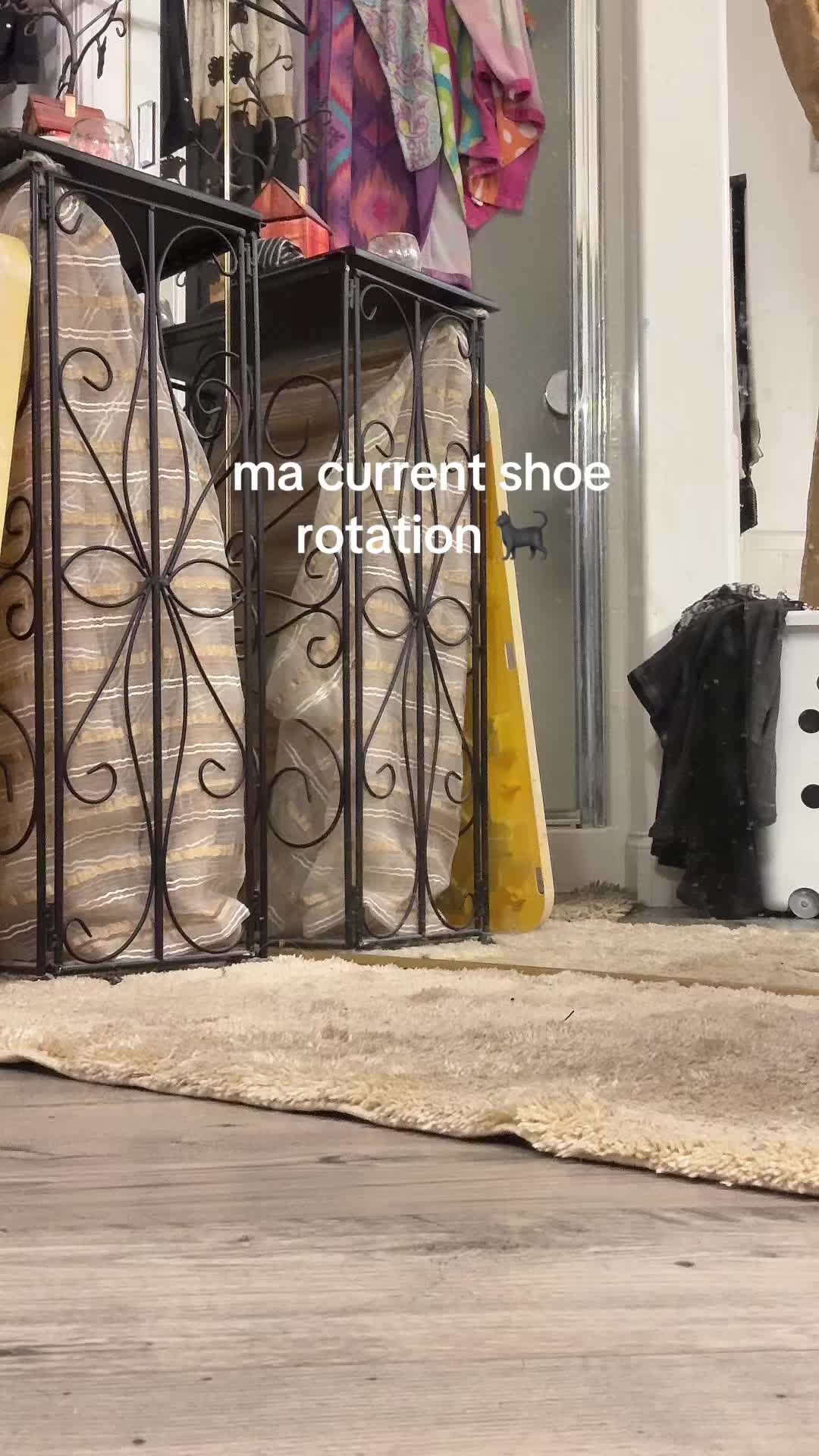 @kitty