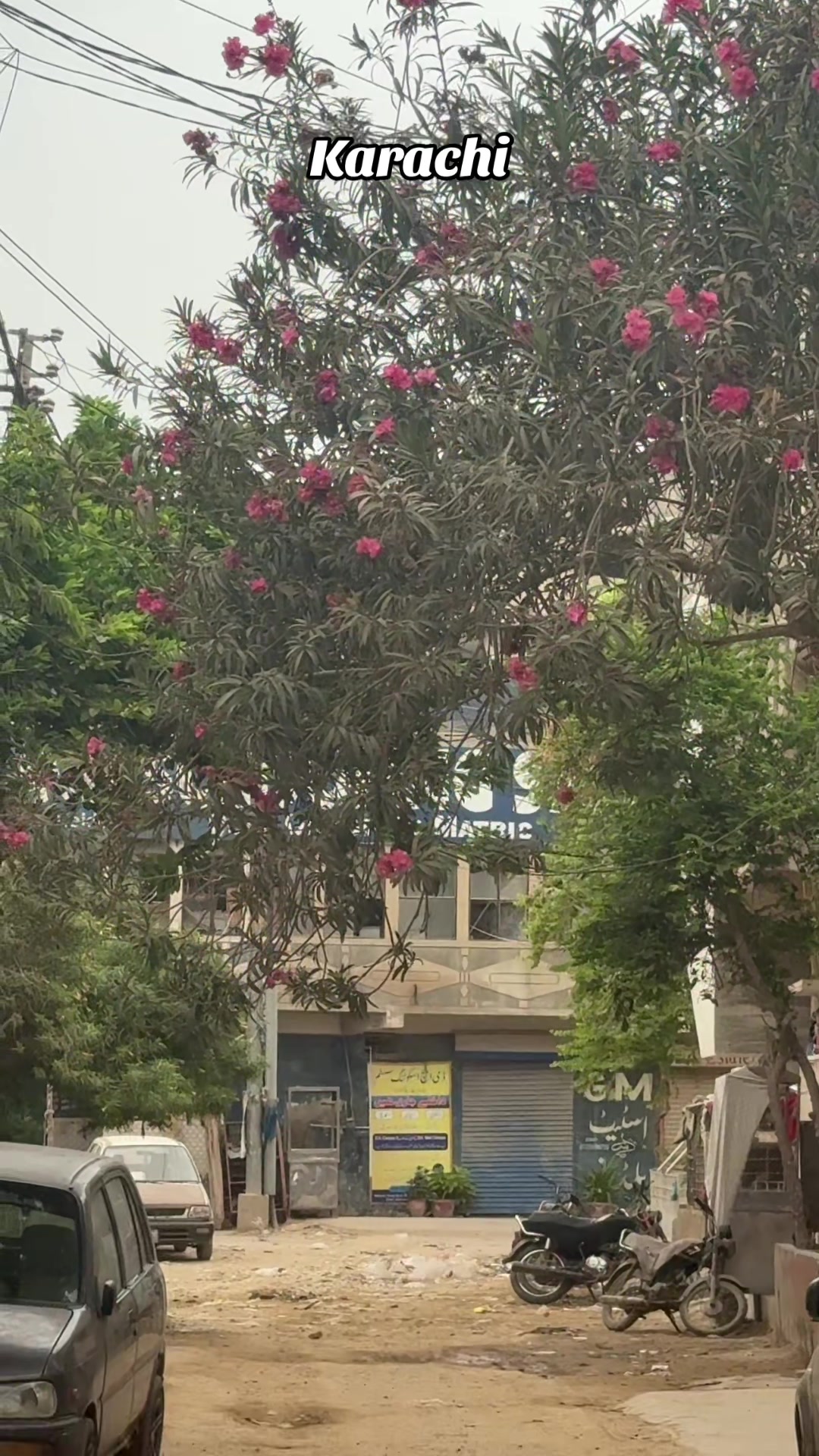 @❤️🫶SIDRA🧕🏻KARACHI🫶❤️