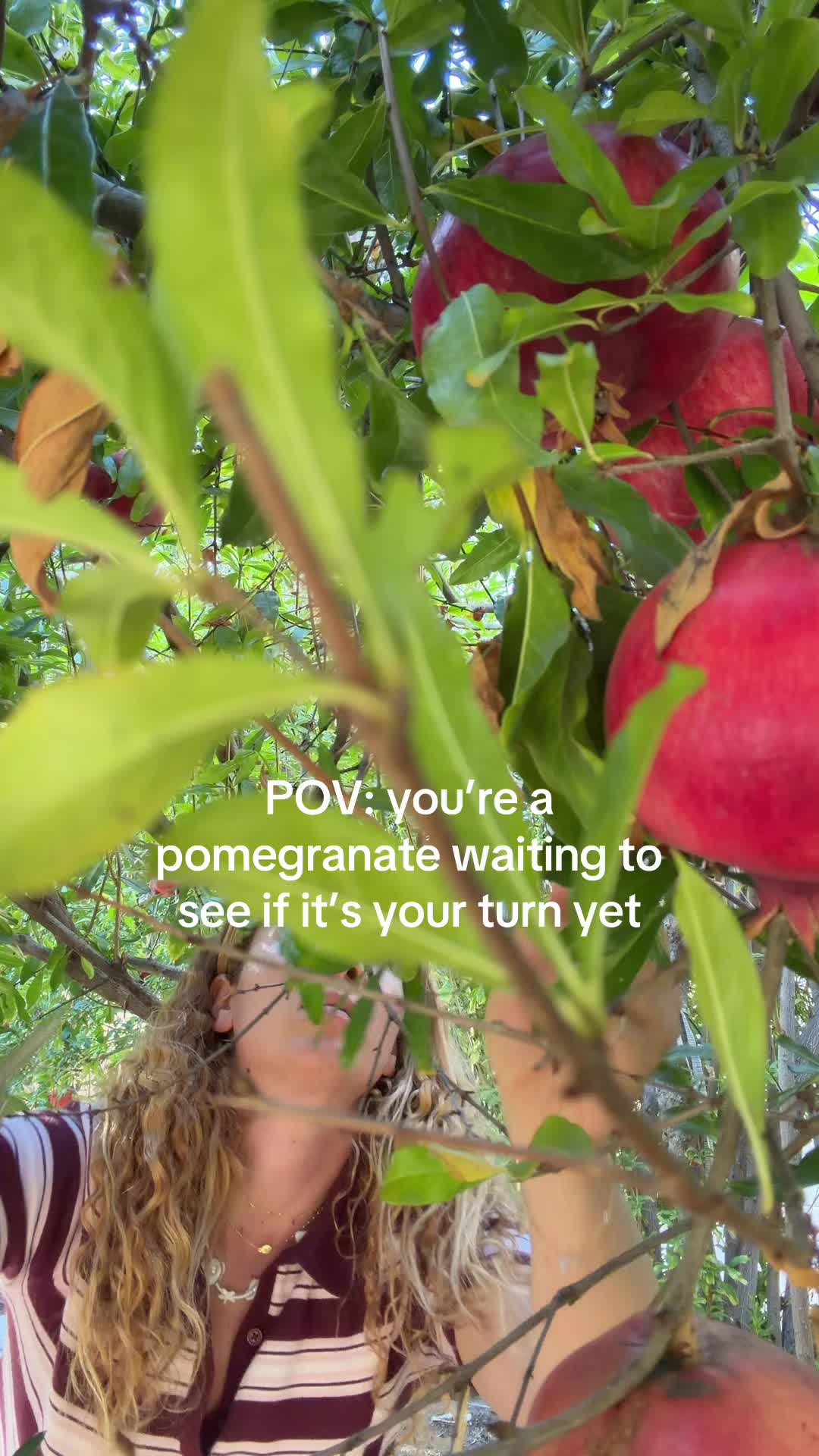 @brightappetite