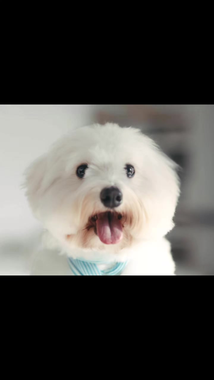 @🩵쪼롱이살응해🩵