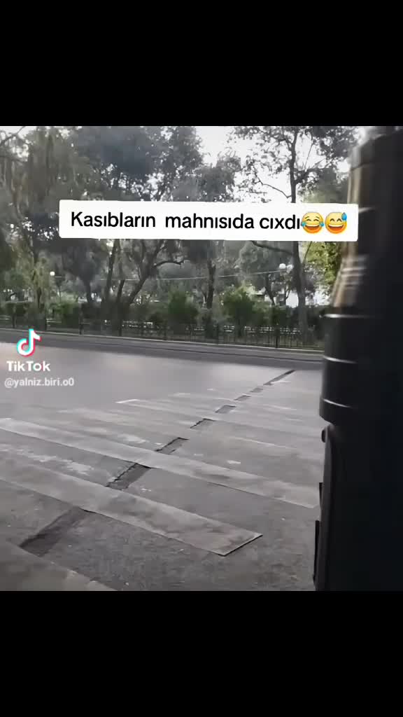 @celalekberov