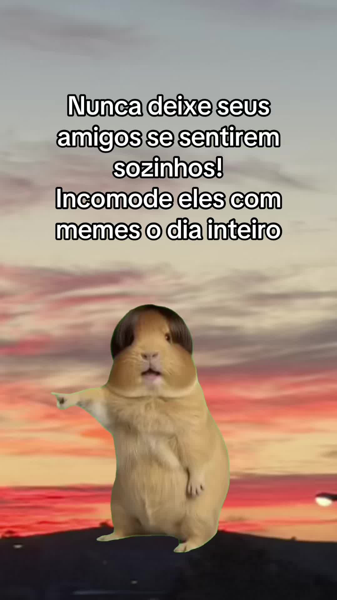 @tababadeira