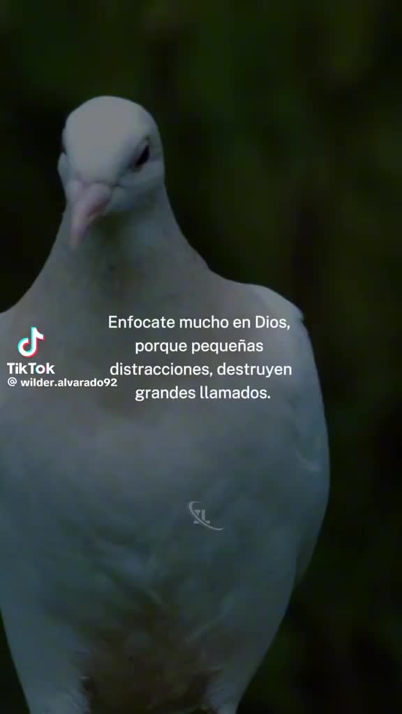 @principejuan