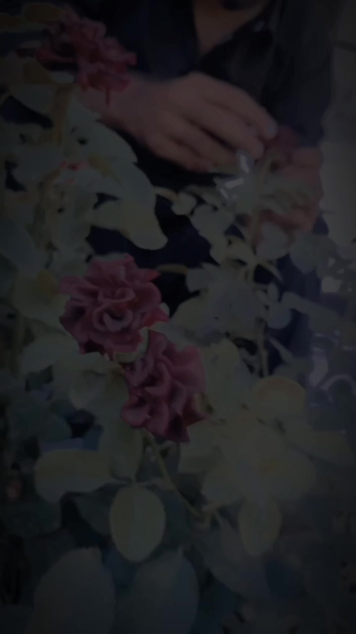 @sheeraz shairy