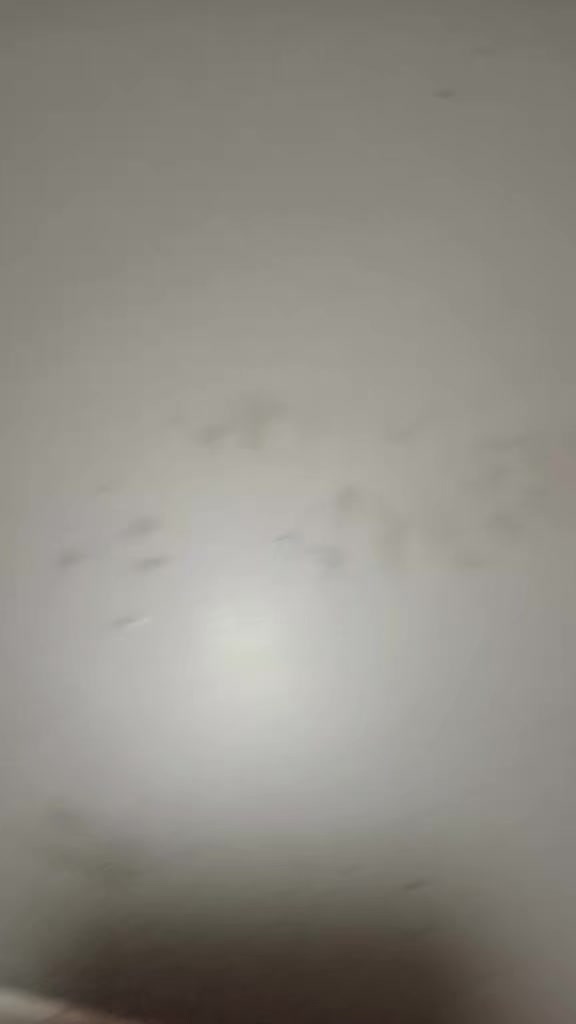 @Мукабай 🐈
