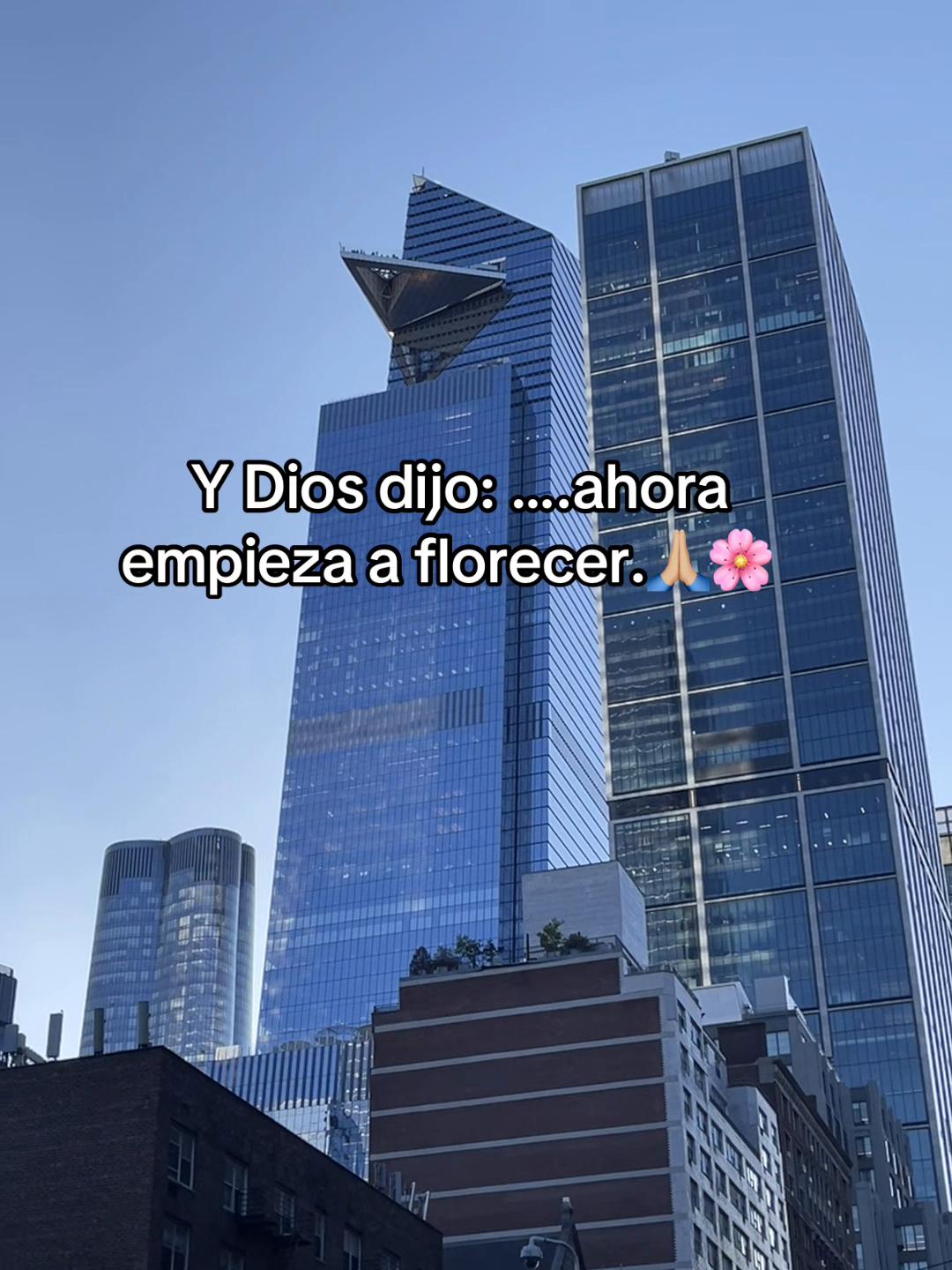 @Mujer Alfa