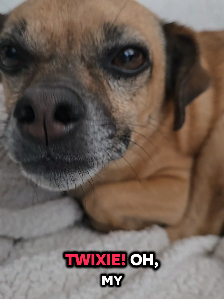 @Twix