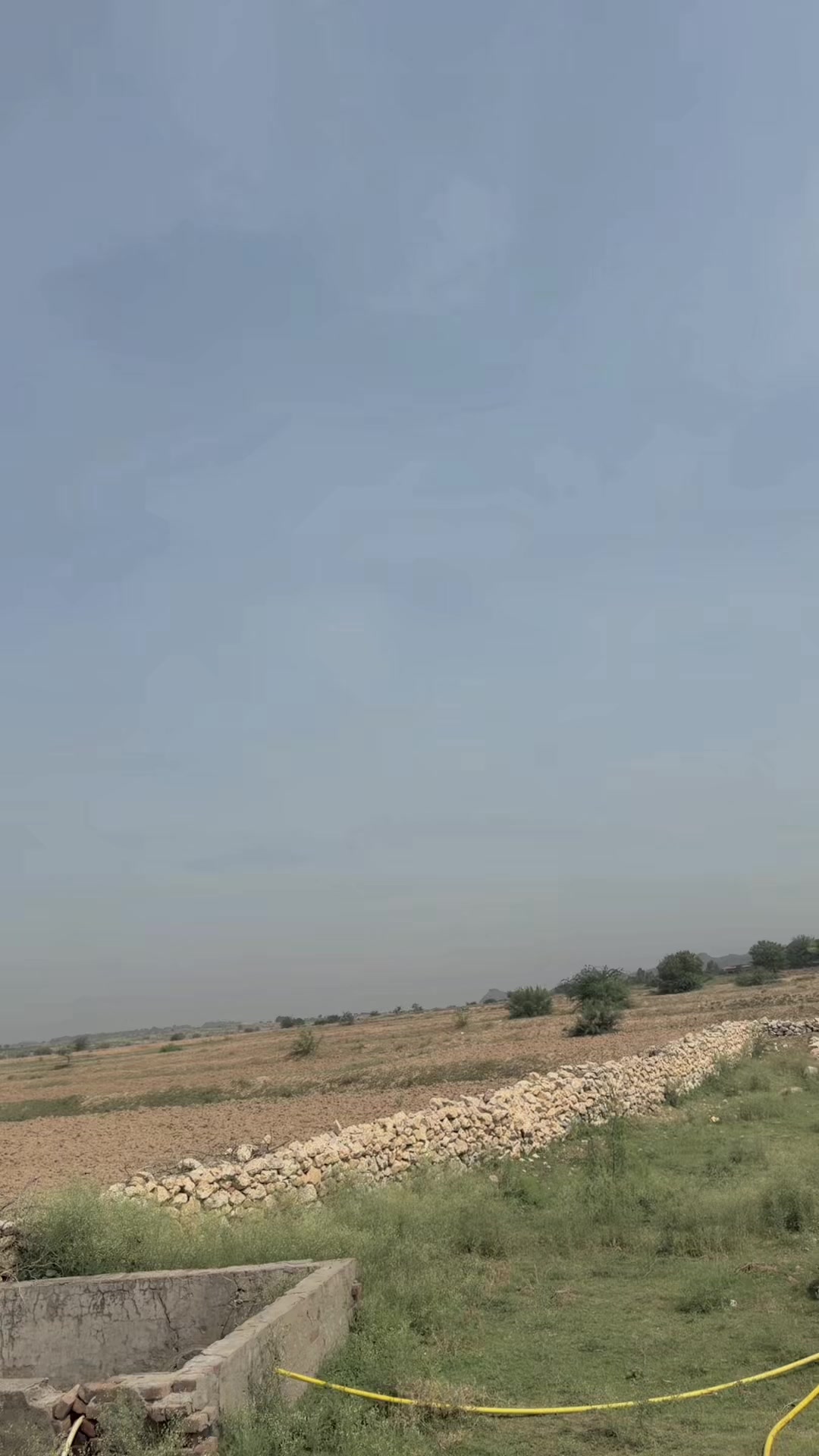 @sajidnihalka923