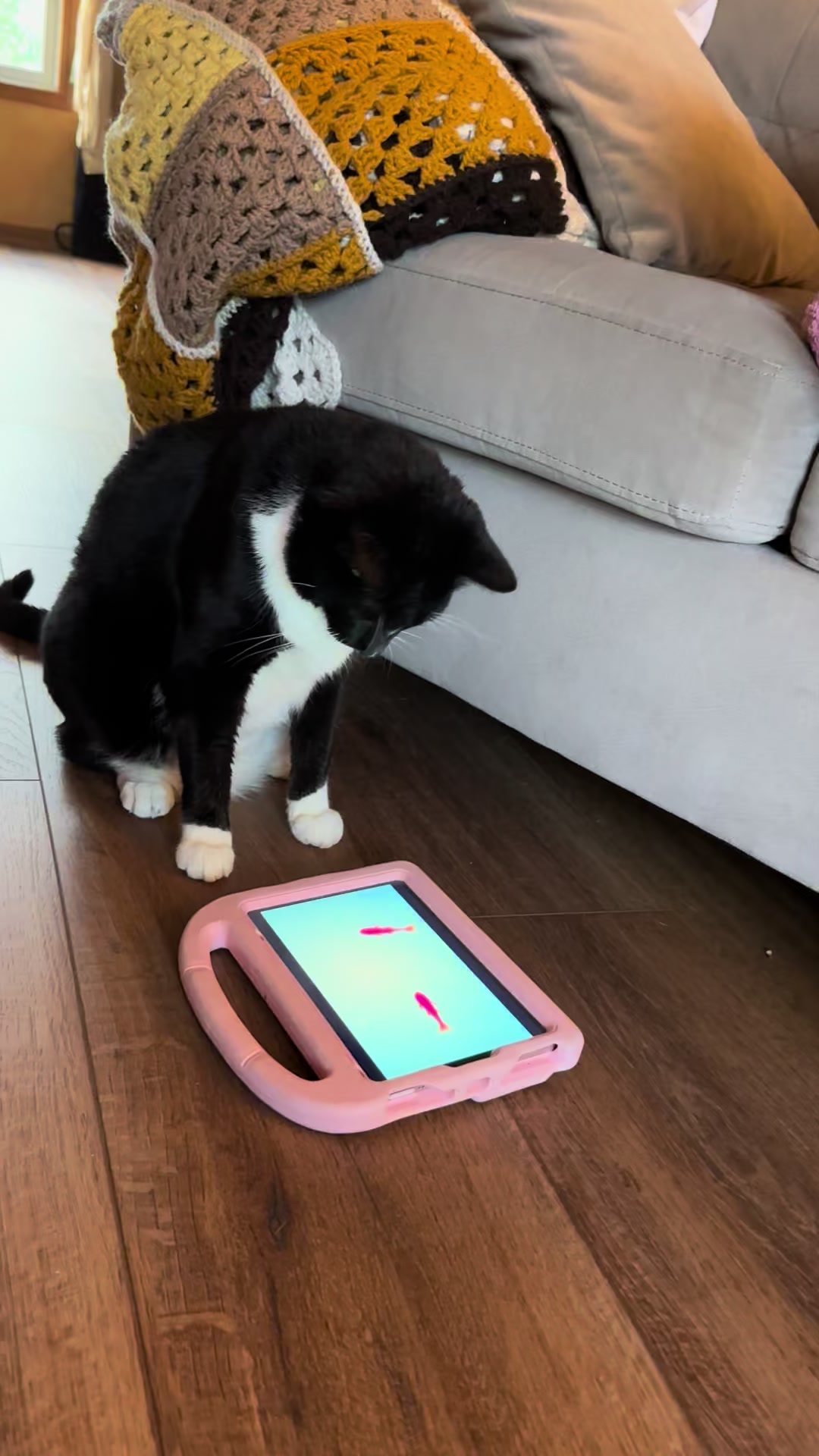 @Bratcats
