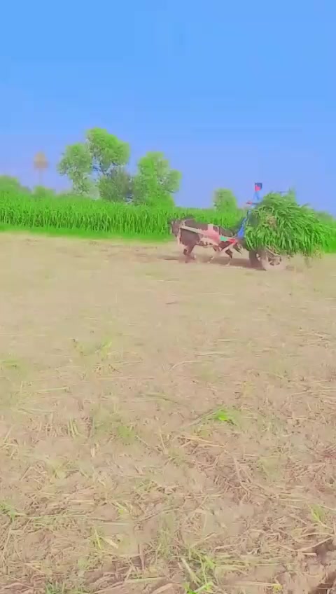 @Farooq gujjar722
