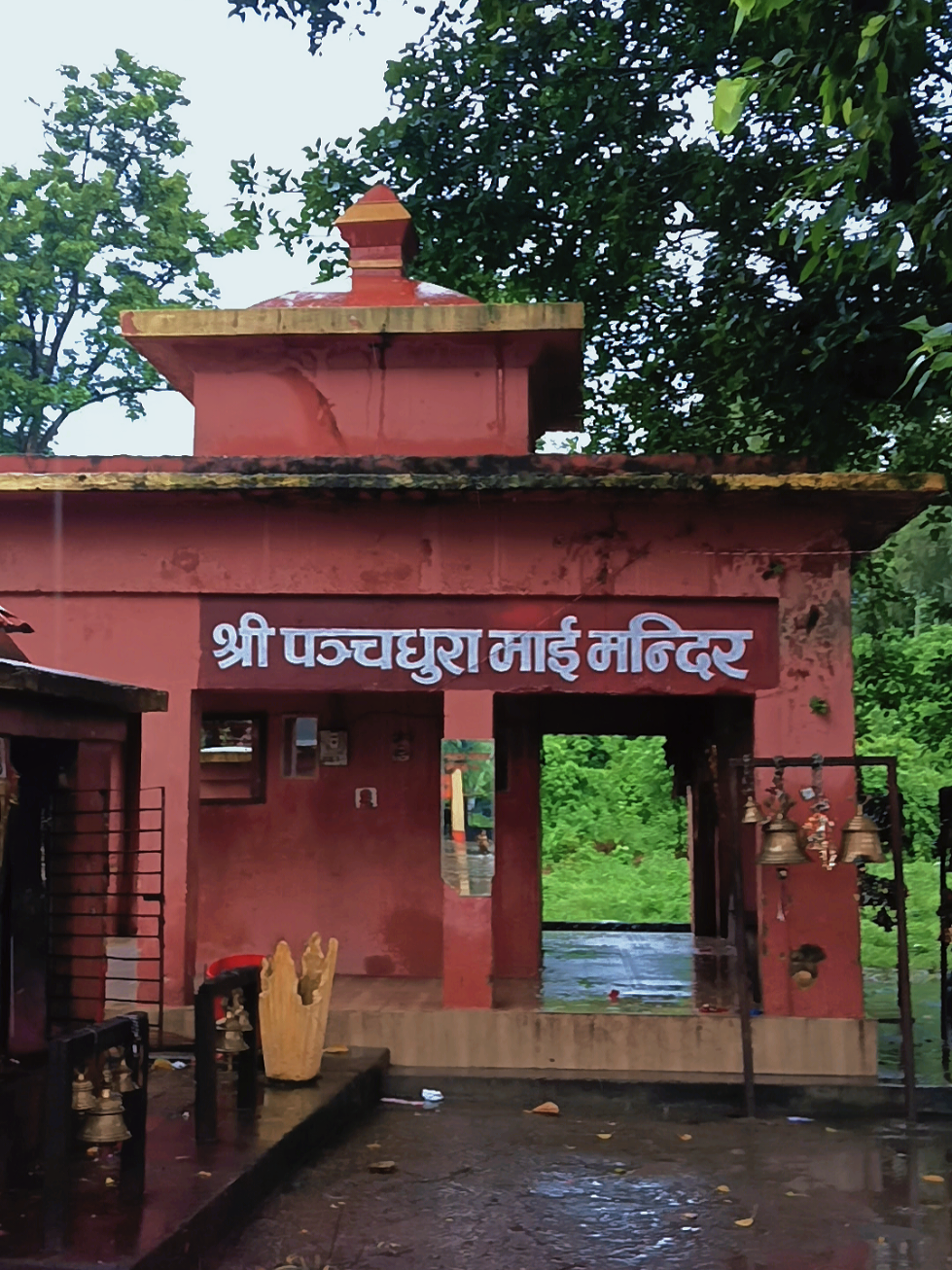 @Bandana Shah