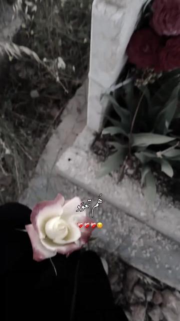 @وتےـيےـنےـ 🧸