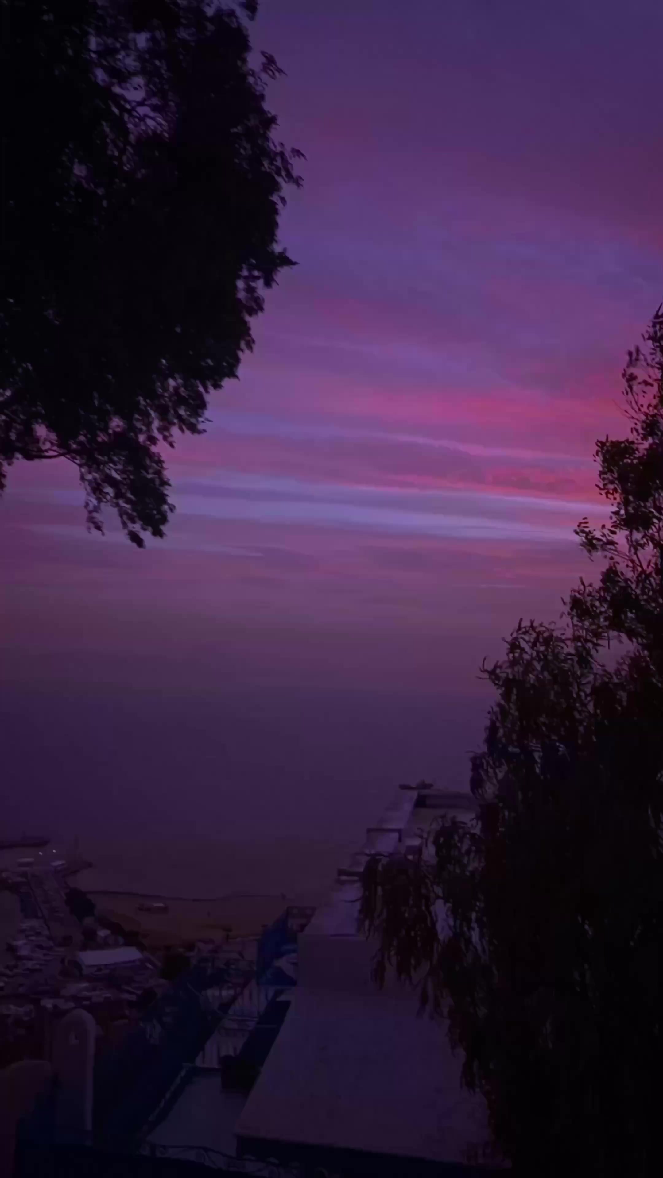@ذبو؟