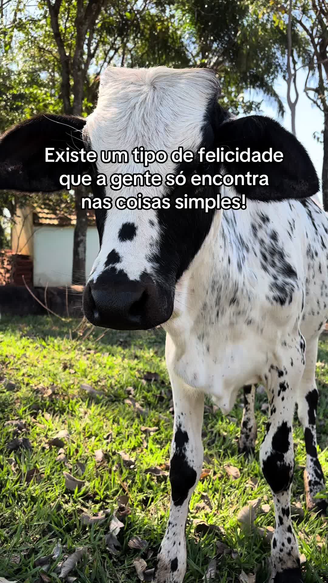 @Isabellabernardesss