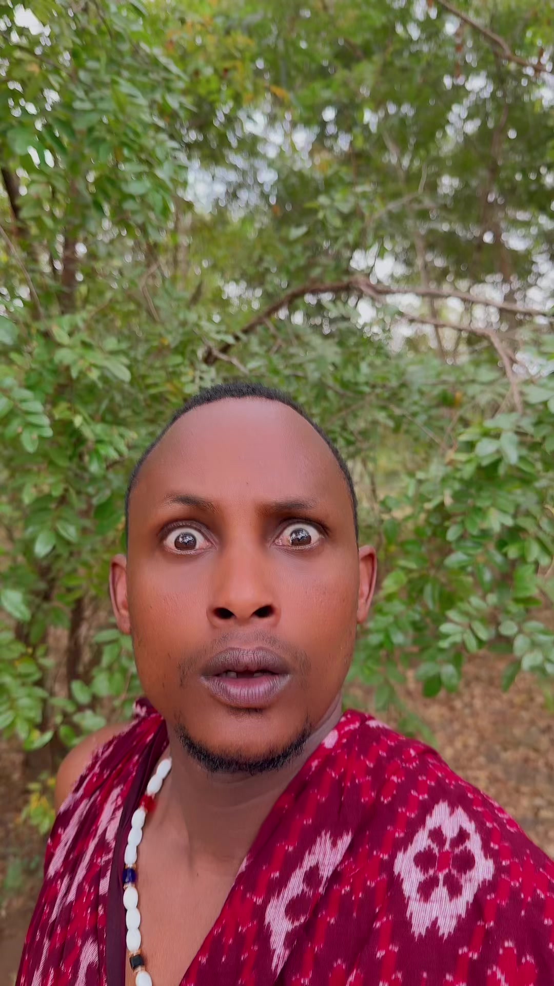 @SAIBOY