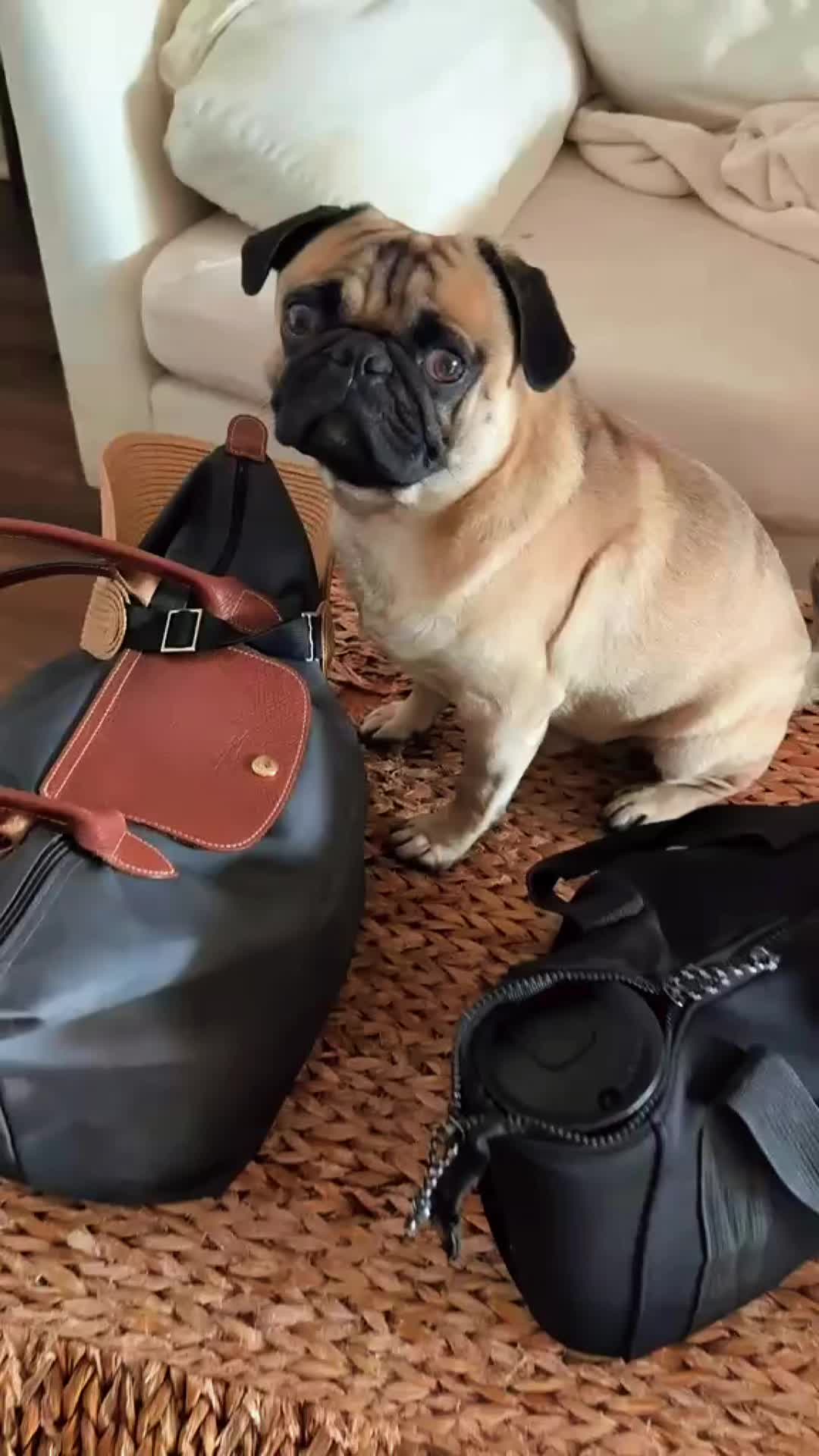 @💕 Vandhana 123