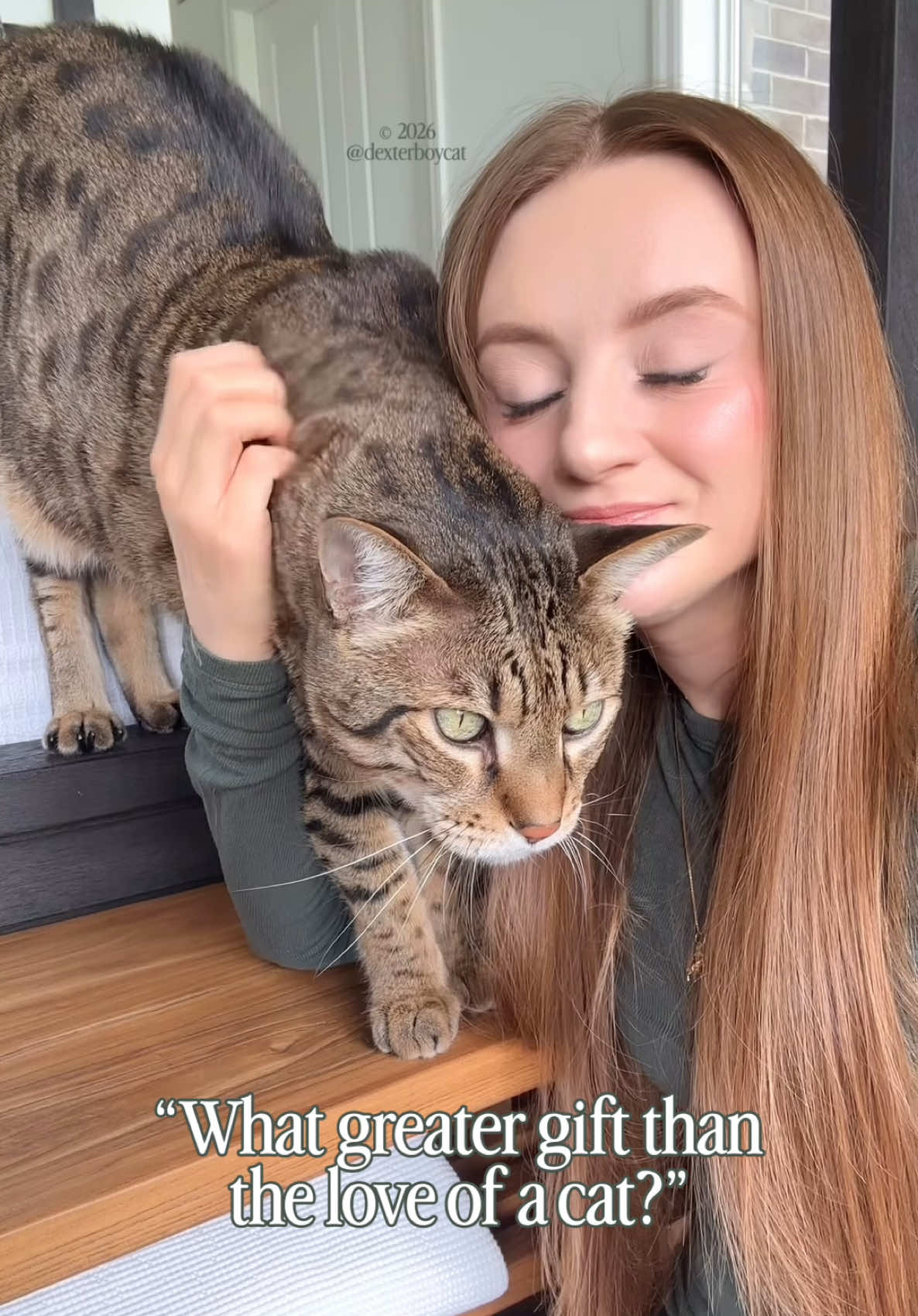 @dexterboycat 🐆&hearts;️