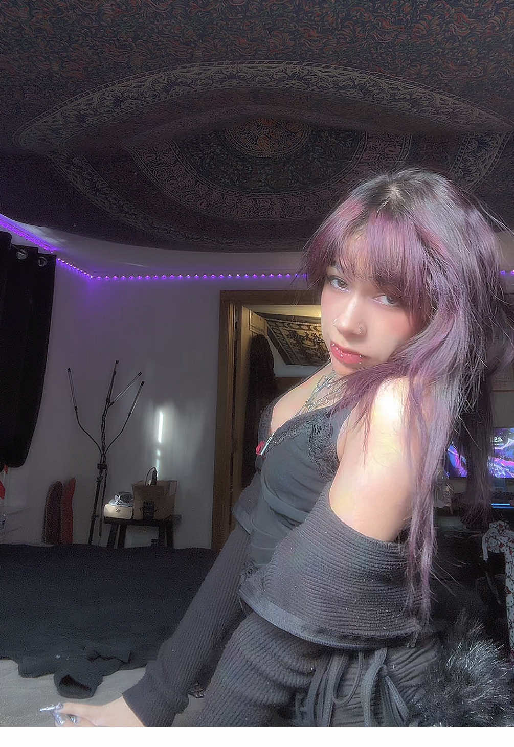 @⋆˙⟡✮ 𝑻𝒊𝒈𝒆𝒓 ✮⟡˙⋆
